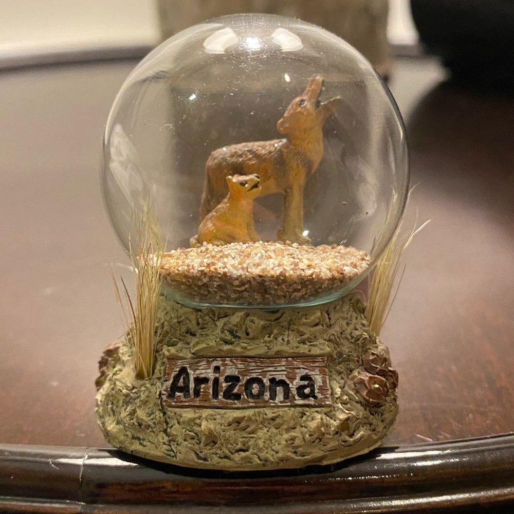 Arizona Snow Globe